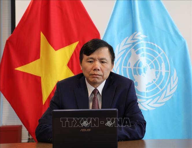 Vietnam chairs UNSC briefing on Kosovo